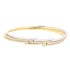 Picture of Bangle Bangle, Picture 1