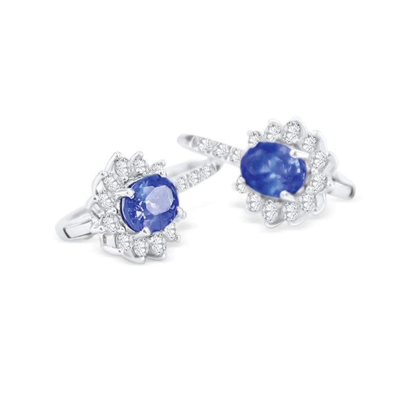 Picture of E-48539-WG - Earrings Piper