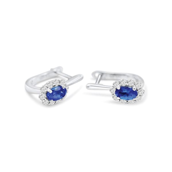 Picture of E-49309-WG - Earrings Morgan