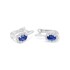 Picture of E-49309-WG - Earrings Morgan, Picture 1