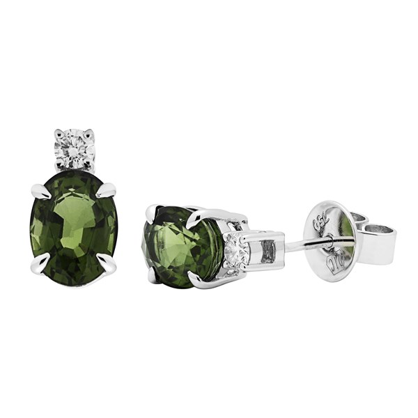 Picture of Earrings ME016559
