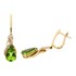 Picture of Earrings E-17296-PG, Picture 1