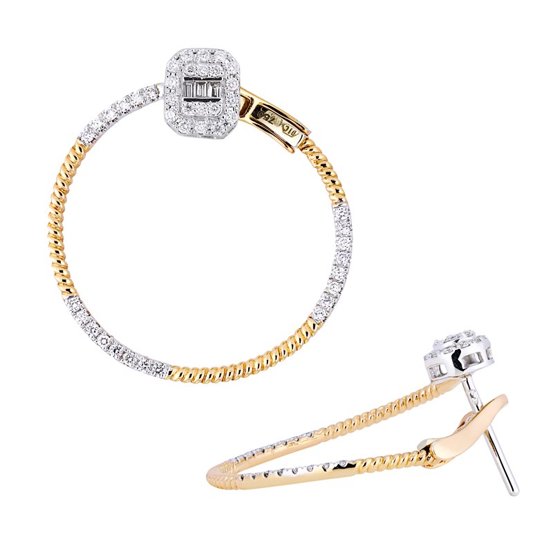 Picture of Earrings E-20759-2T