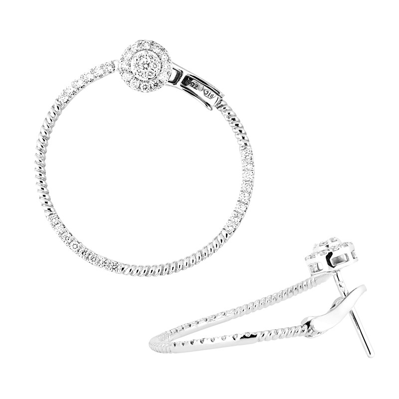 Picture of Earrings  E-20760-WG