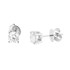 Picture of Earrings E-21069-WG, Picture 1