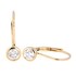 Picture of Earrings E-21081-PG, Picture 1