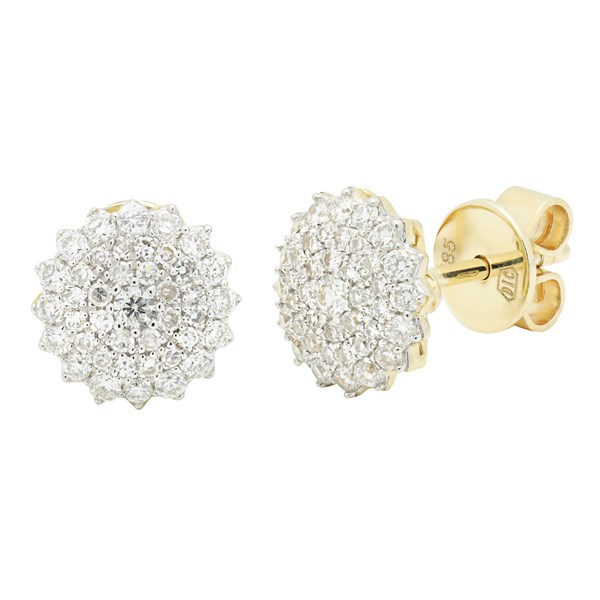 Picture of E-54296-YG -  Earrings Kendra