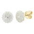 Picture of E-54296-YG -  Earrings Kendra, Picture 1