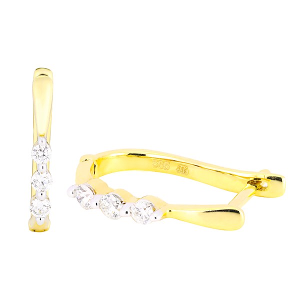 Picture of Earrings Chloe