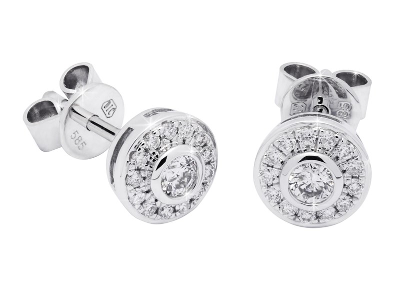 Picture of E-41165-WG -  Earrings Erin