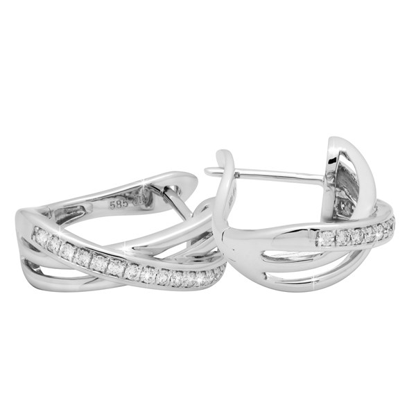 Picture of E-39433-WG - Earrings Stella