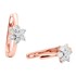 Picture of E-47798-2T - Earrings Viola, Picture 1