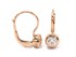 Picture of Earrings E-18766-PG, Picture 1