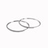 Picture of Диамантени обеци Large Circles, Picture 1