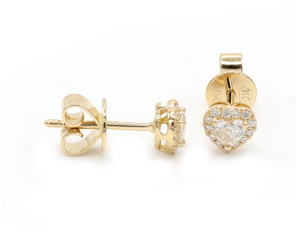 Picture of Earrings E-18814-YG