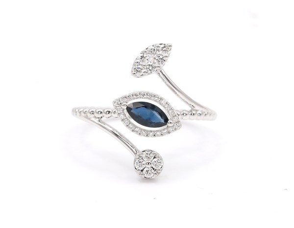 Picture of Ring MR042087