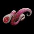 Picture of Пръстен Matragi Octopus Pink, Picture 2