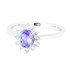 Picture of R-28251-WG - Holly, Picture 1