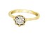 Picture of Ring Waterlily, Picture 1