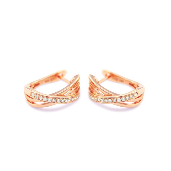 Picture of E-39433-PG - Earrings Stella