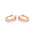 Picture of E-39433-PG - Earrings Stella, Picture 1