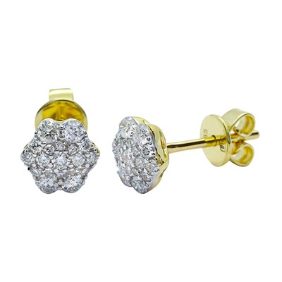 Picture of Earrings Olla