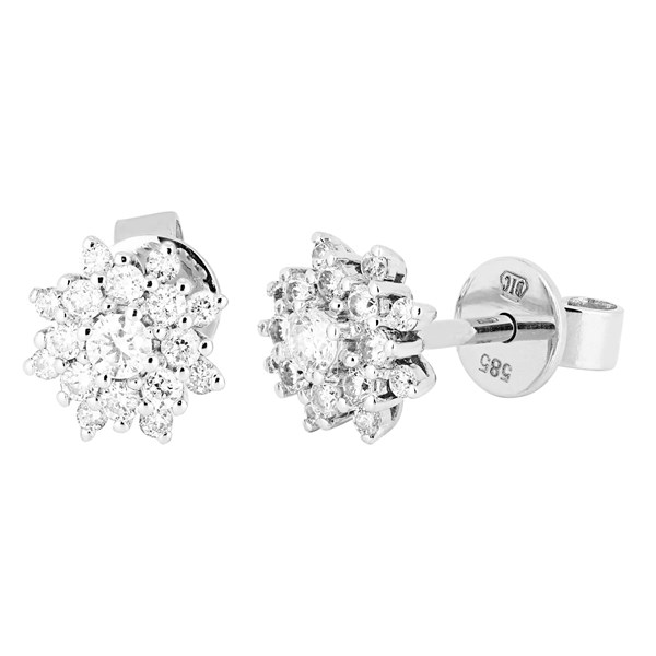 Picture of Earrings Tabita