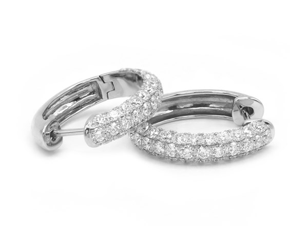 Picture of Earrings E-29133-WG