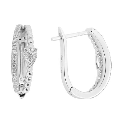 Picture of Earrings E-17766-WG